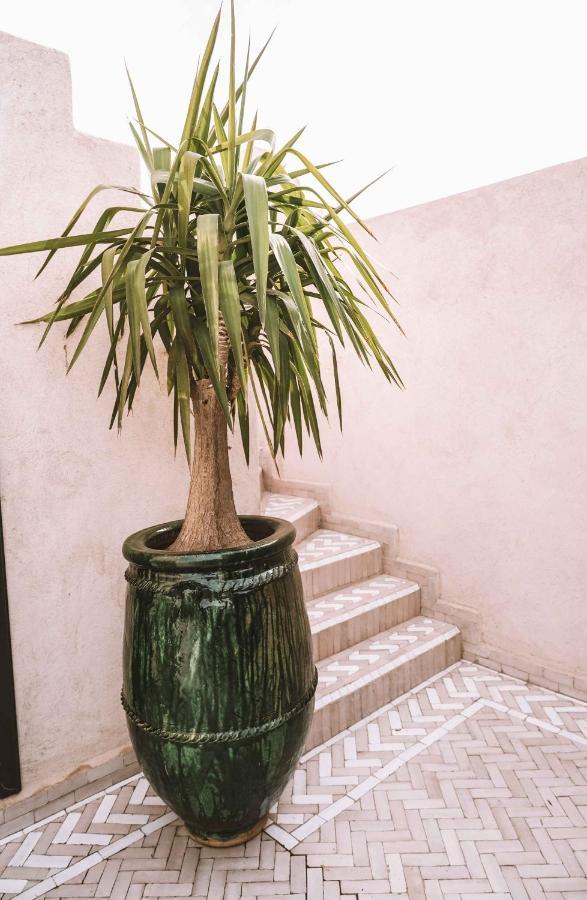 Oasis فندق 4*