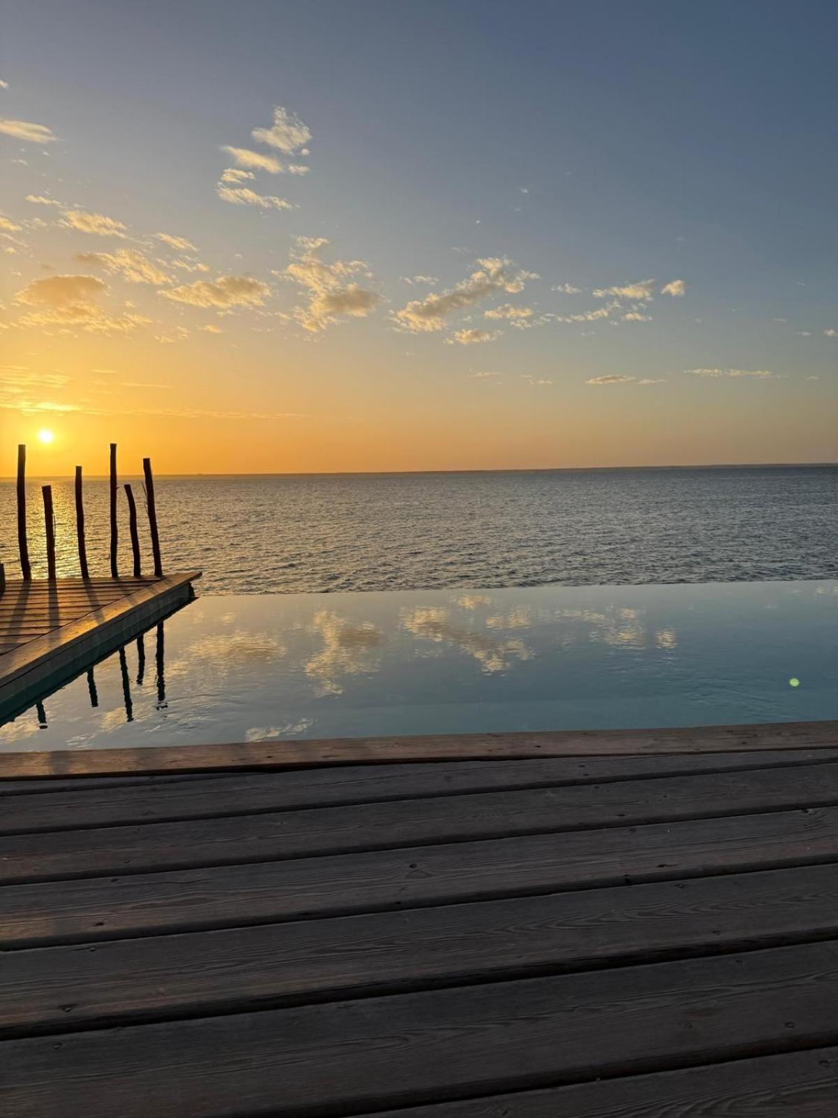 فندق Oasis 4*